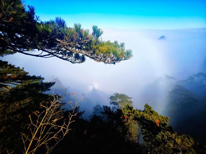 冬日黄山：云海霞光美景如画