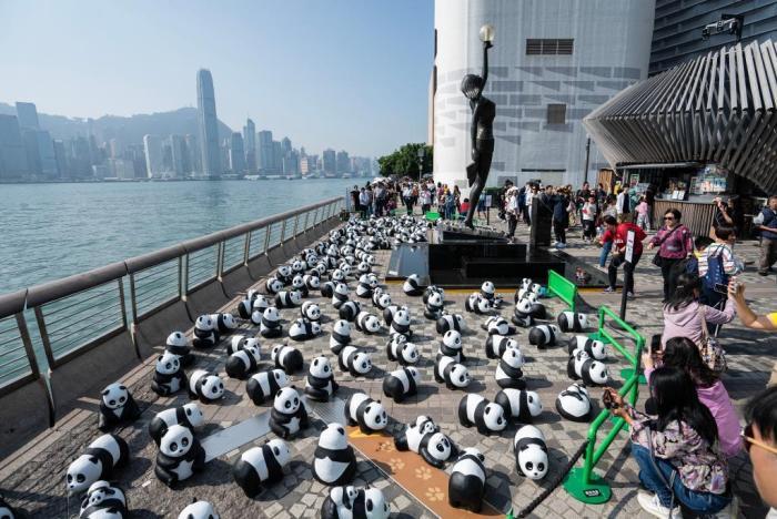 “大熊猫”遍布香港维港星光大道