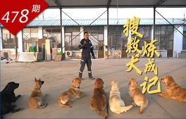 人间暖阳系列：搜救犬炼成记