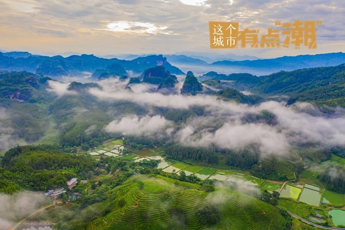 福建武夷山：一叶“大红袍” 茗香漫青山